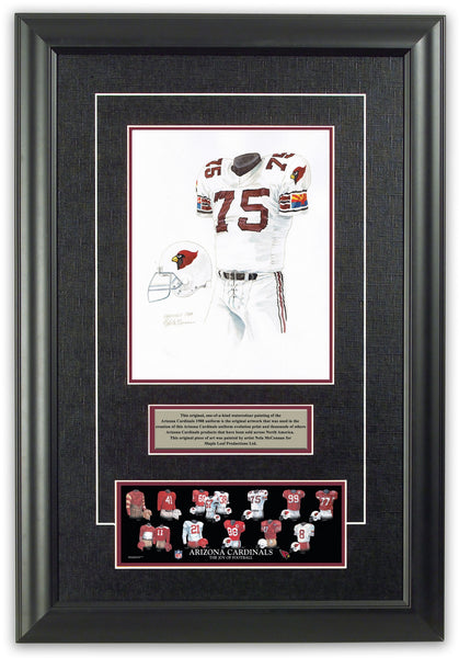  Arizona Cardinals Black Frame Jersey Display Case